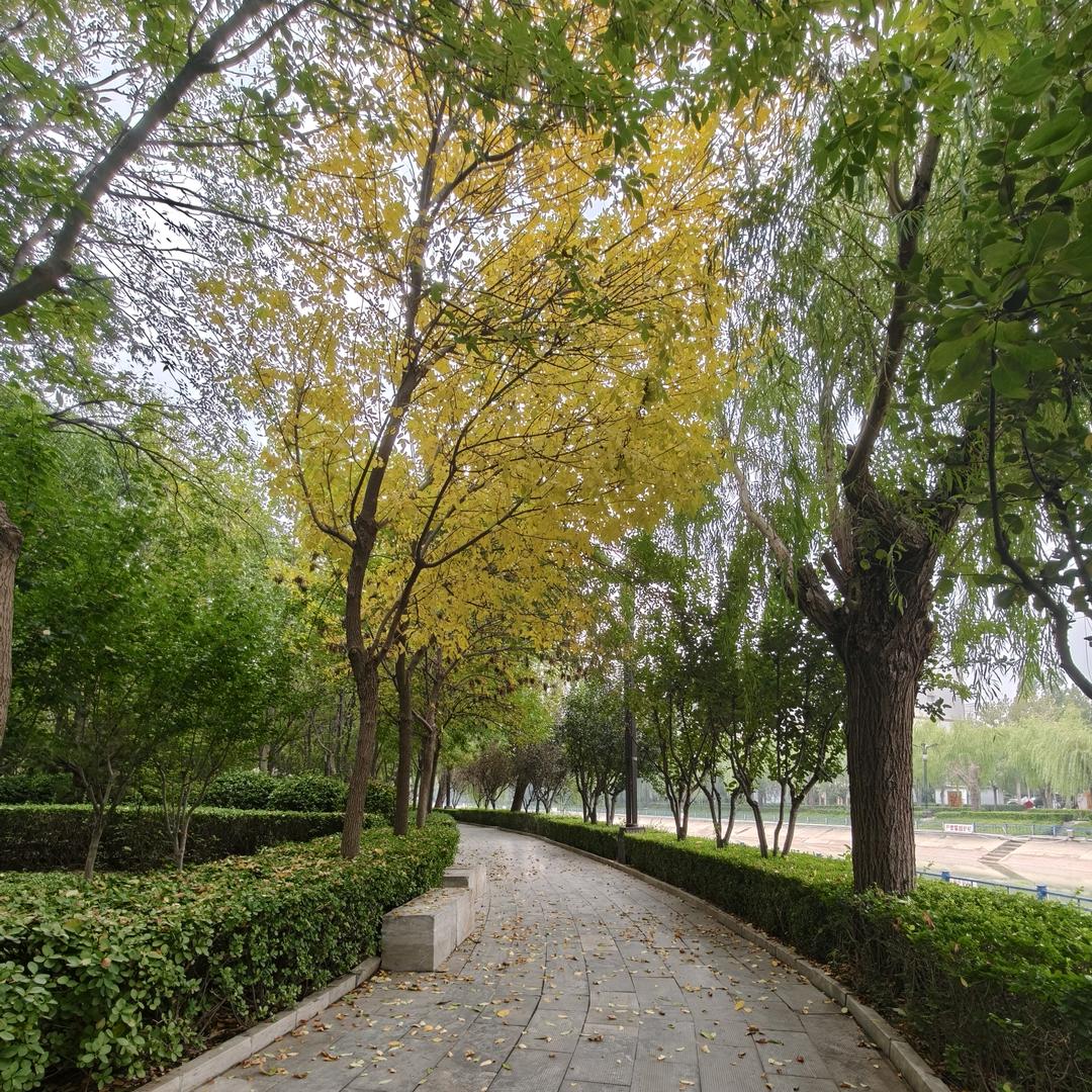 MISS暖暖ʚ•͈ᴗ•͈ɞꔛ