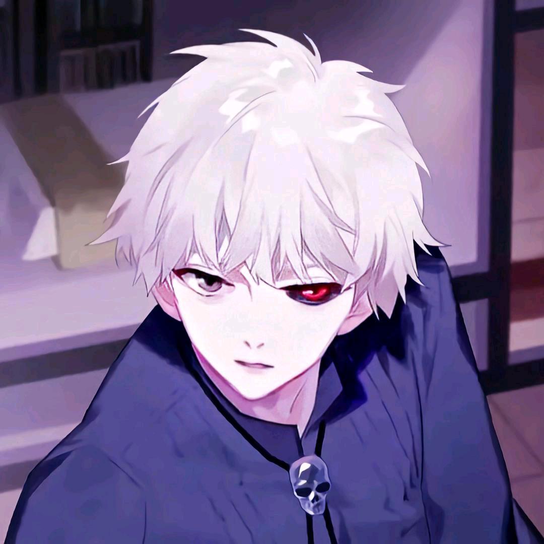 🐬魔界王者🐰🐯