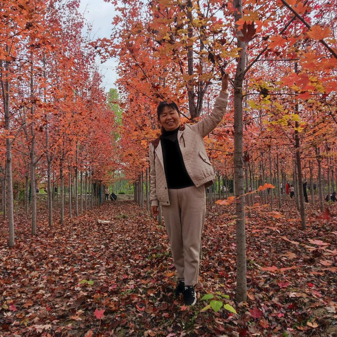 山西李姐(首播)