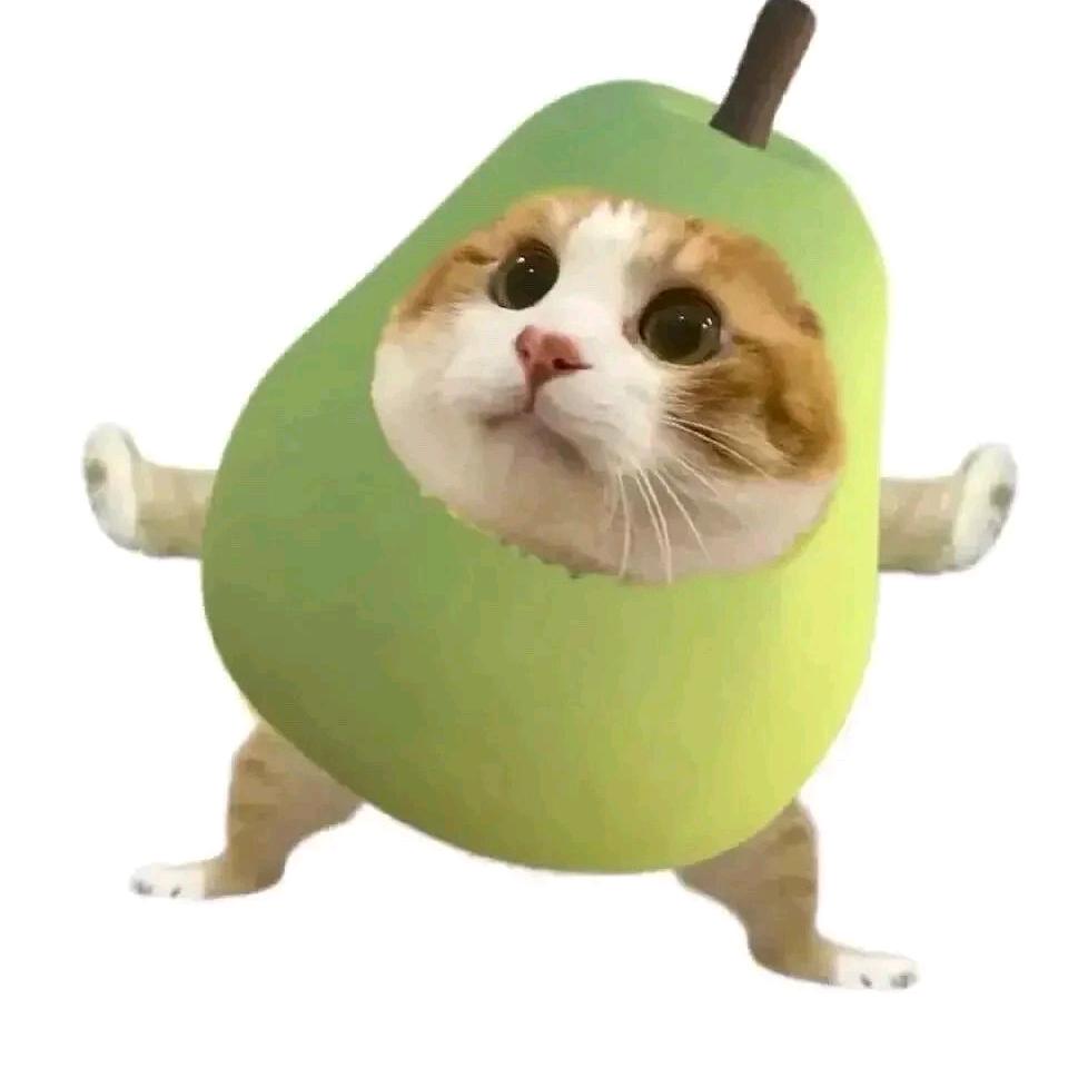 徐🍒🍒🍒