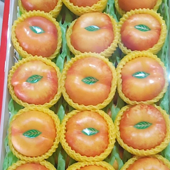 梦缘