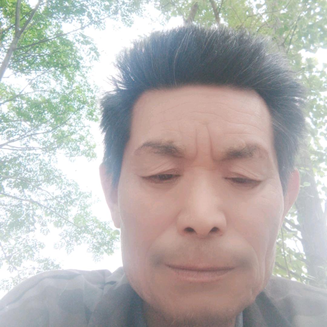 沙志虎