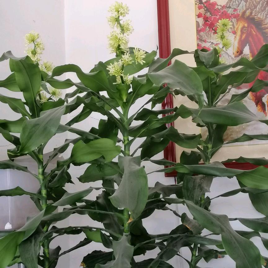 快乐每一天123.