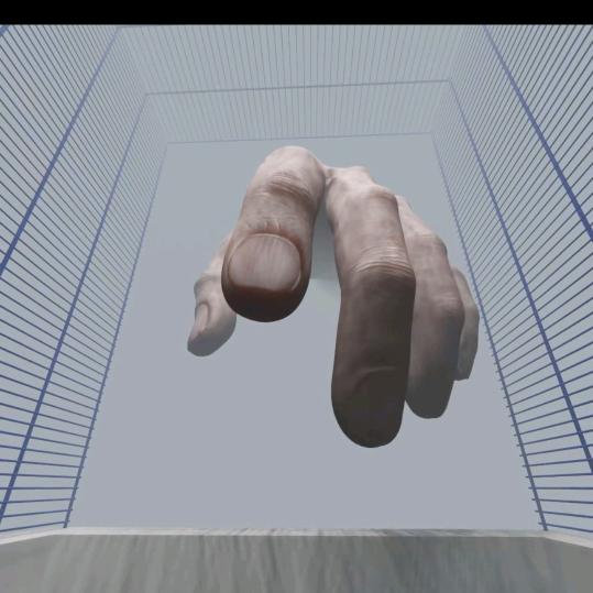 悦轩宠物甄选