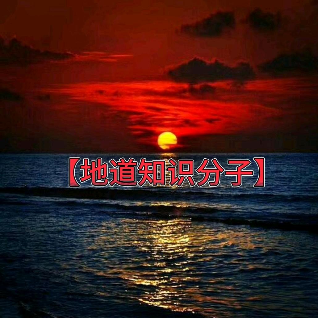 地道知识分子