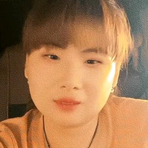 叶叶只为花