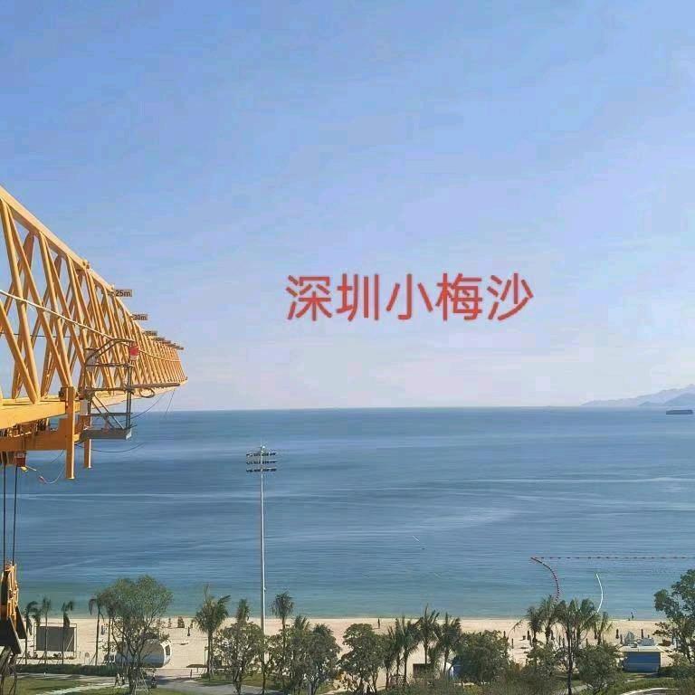 我该怎么熬