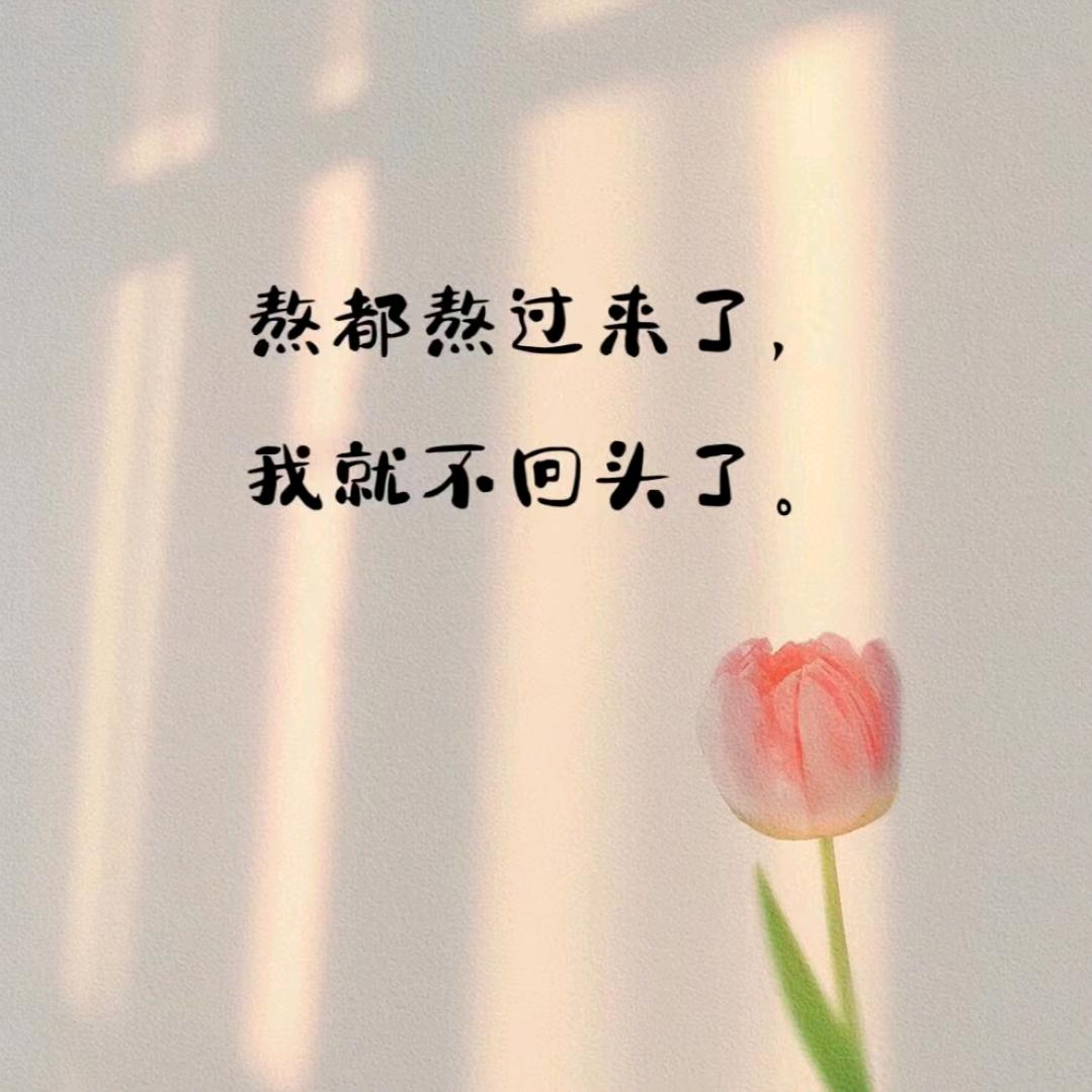 只如初见