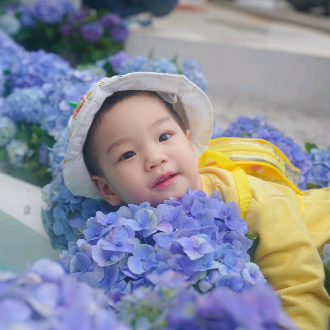 一颗菜菜