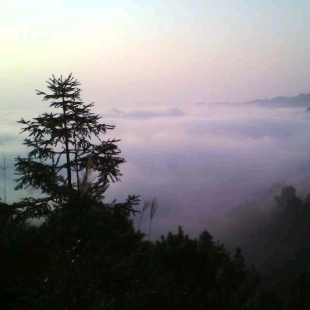 木易日月