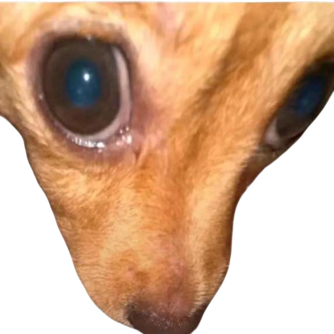 小聚集