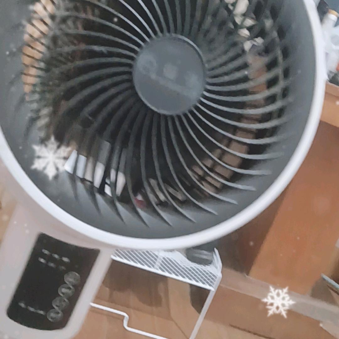 落叶知秋