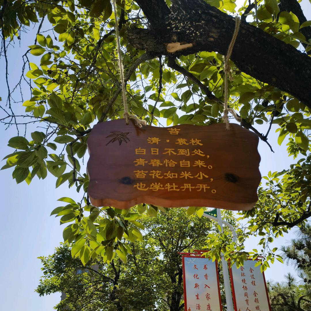 ঞ淡然一笑࿐
