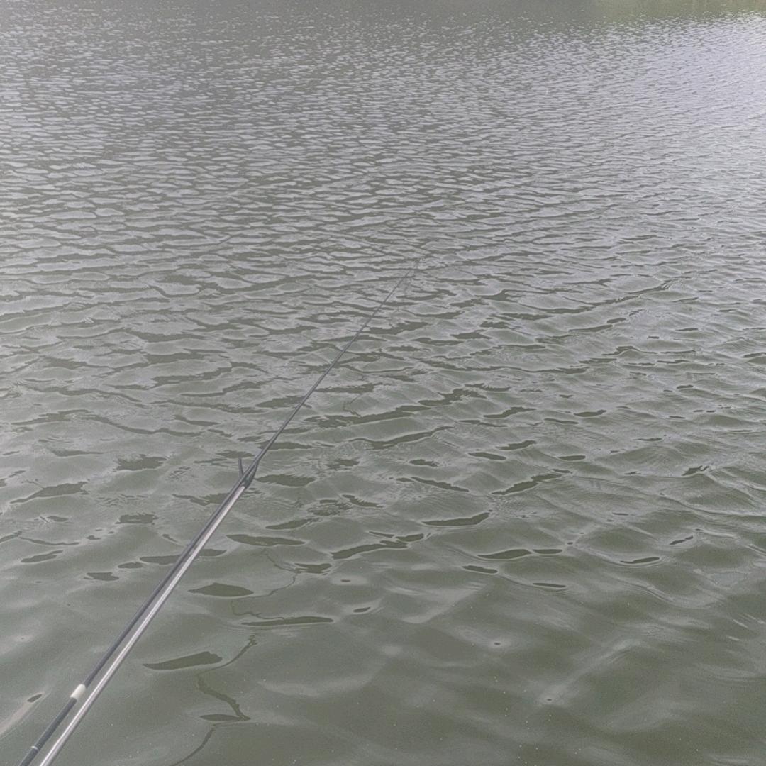 逆光飞翔