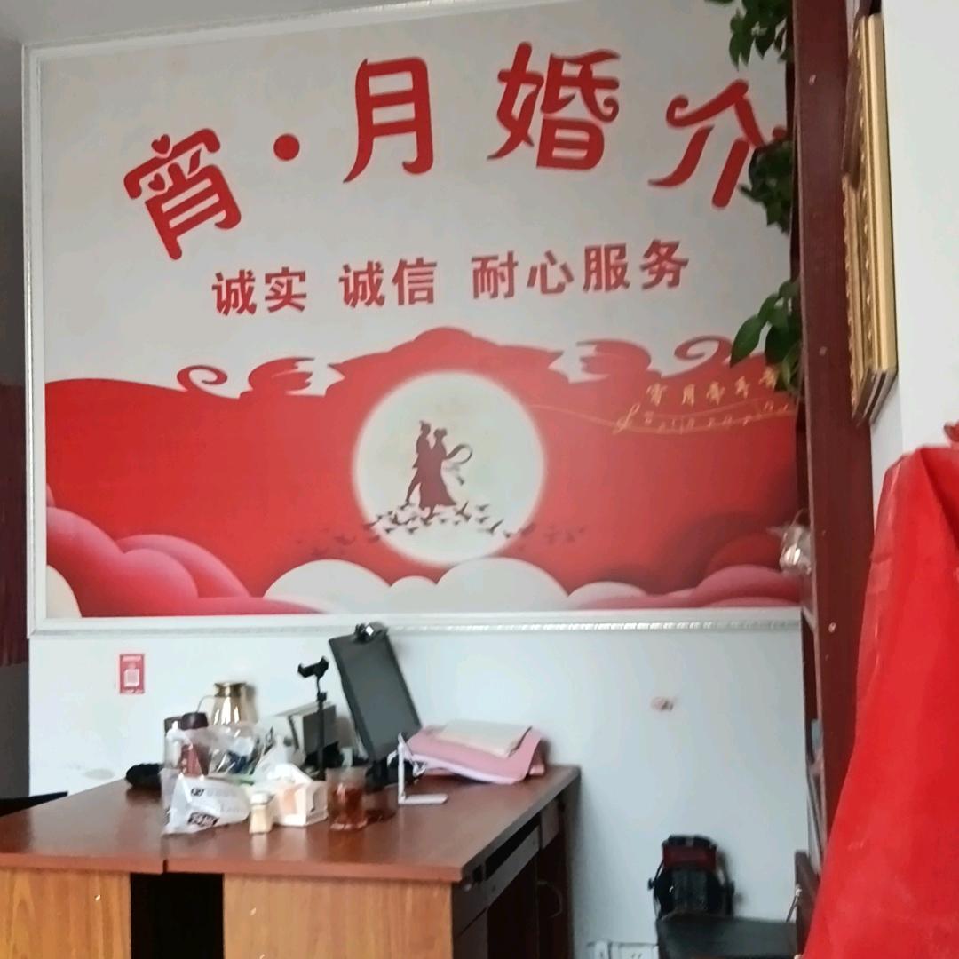 进贤县宵月婚介王老师！