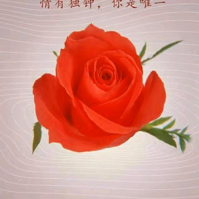 茹戨