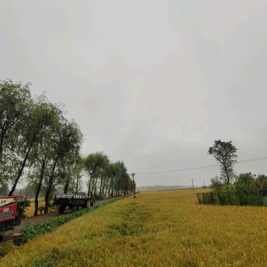 山海经秘闻录
