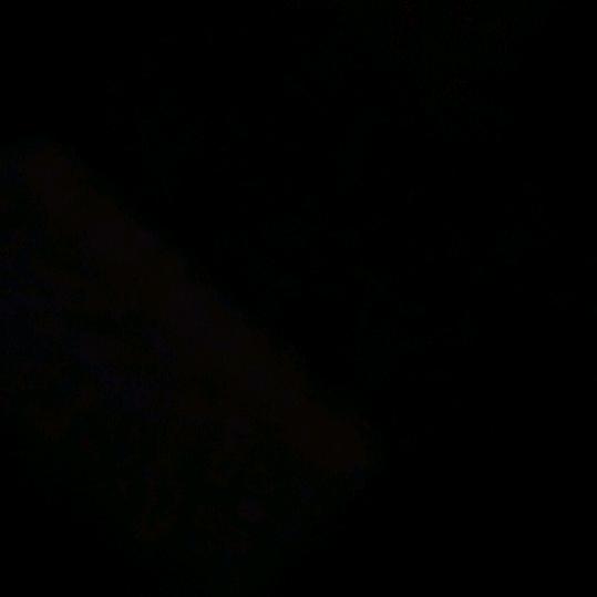 西平七哥
