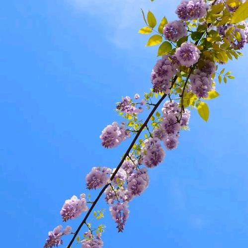 武空