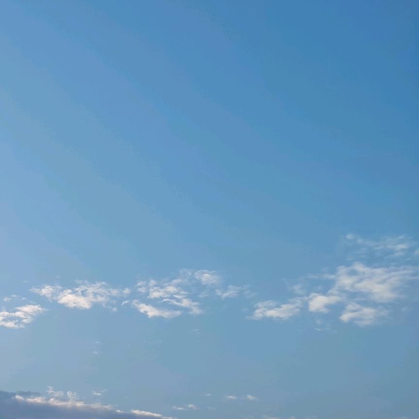 💦鱼小白