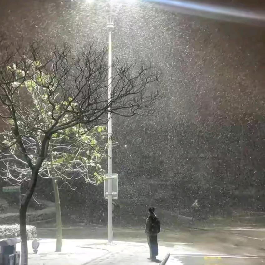 向阳而生- ̗̀ 𝙤𝙥𝙚𝙣 ̖́