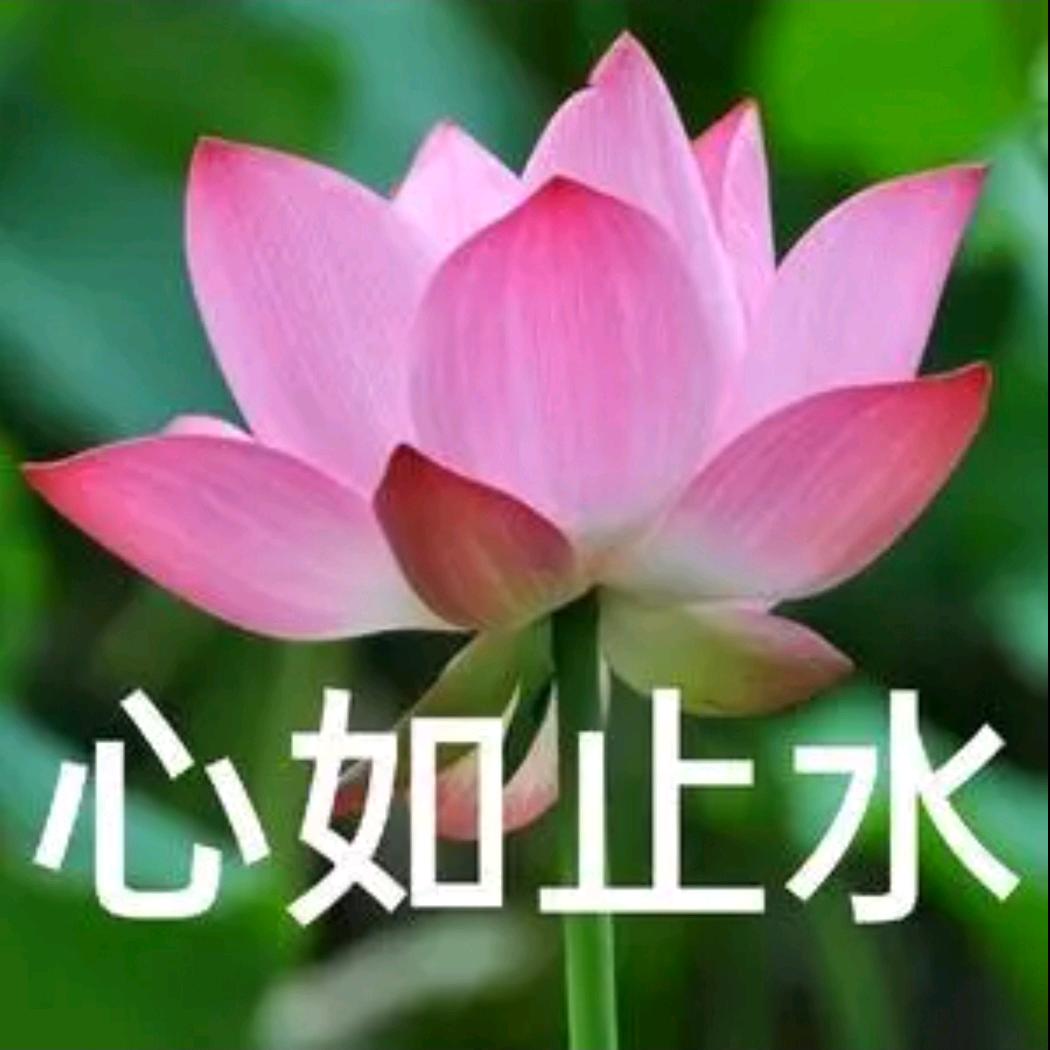 ☞世焱☜