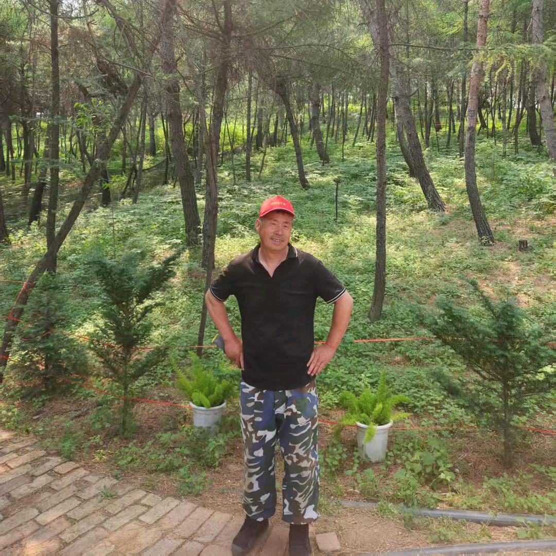 鞍山万利林下参七舅