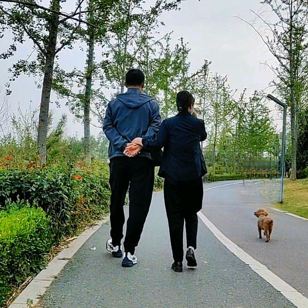 无坚不摧