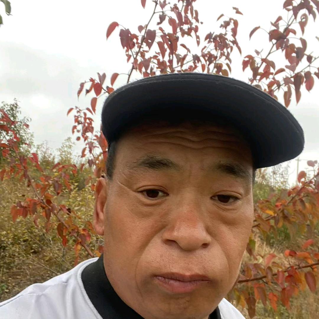 双双双715