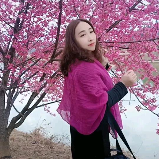 🍃风中的承诺🍃