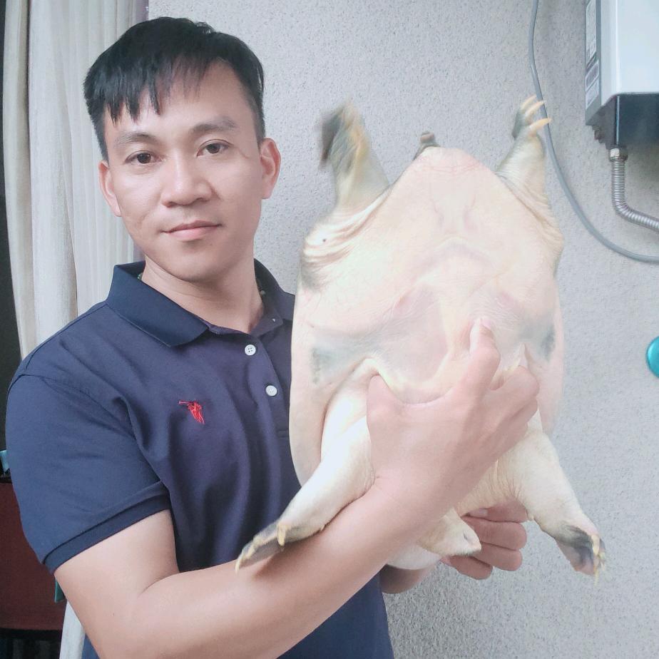 华仔打水鱼