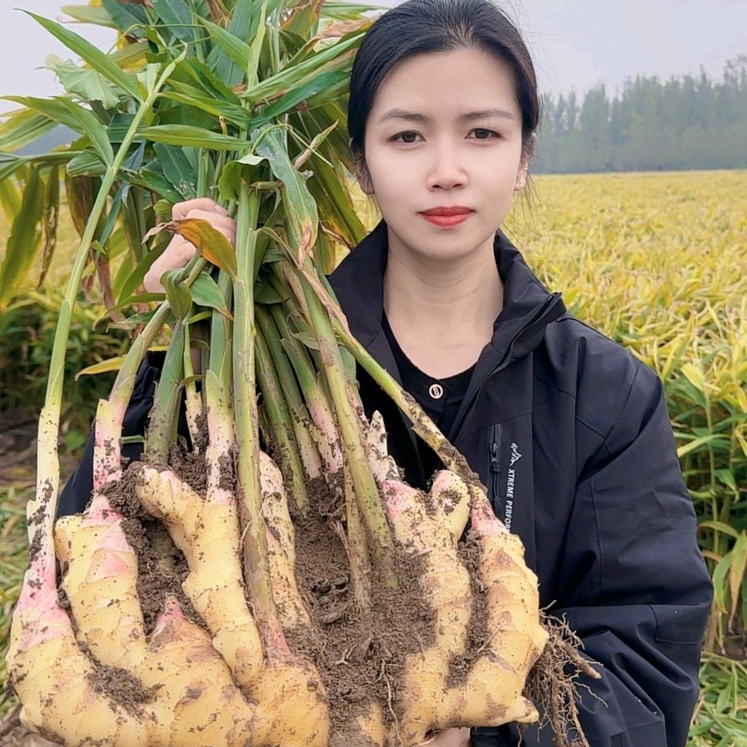 最美大姜 萍姐