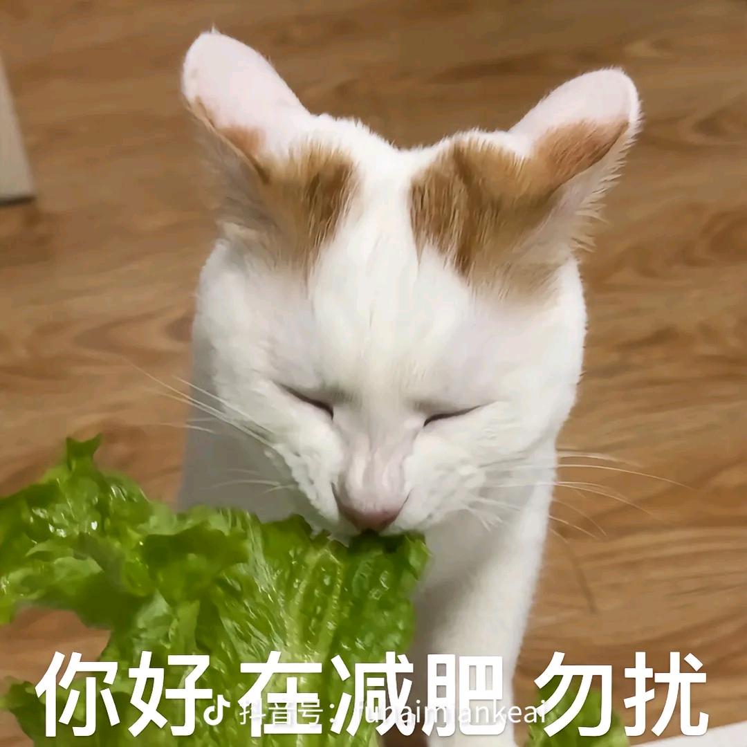 𣑑由