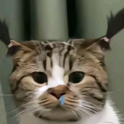 事事顺心