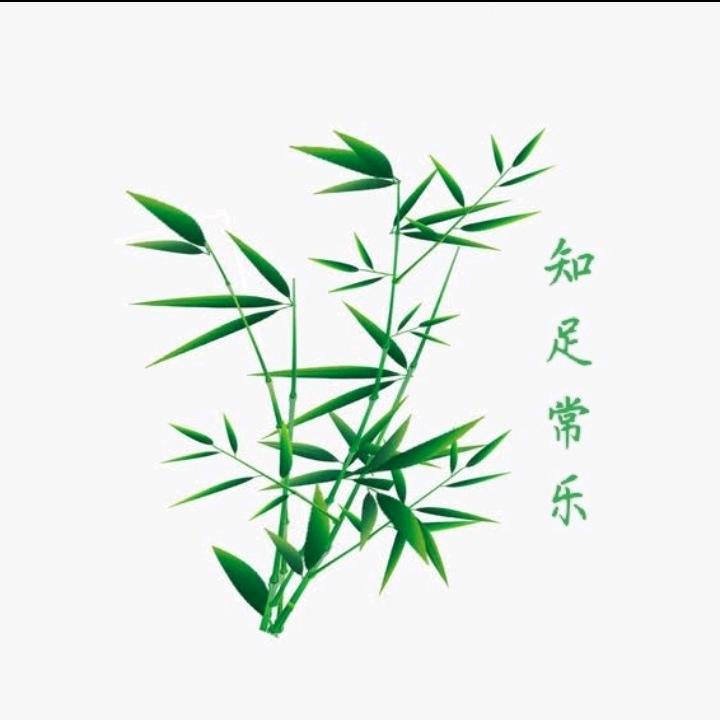 天若有情369