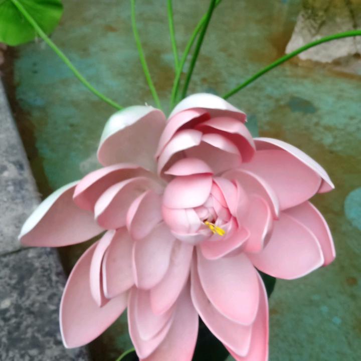 高手在民间