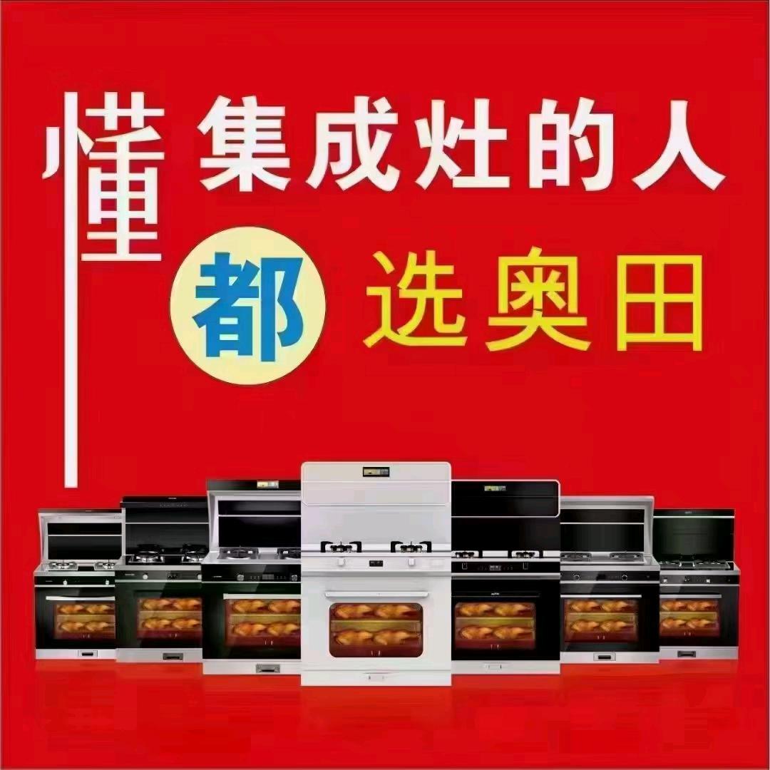 奥田集成灶（老文）