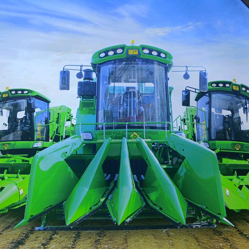 九方泰和～涛哥