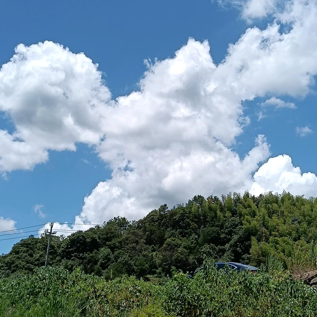 抖二哥