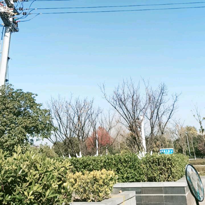 👓᭄㜂ঞৣঁ孞꧔