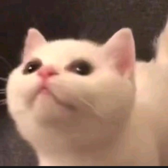 开箱阿洋