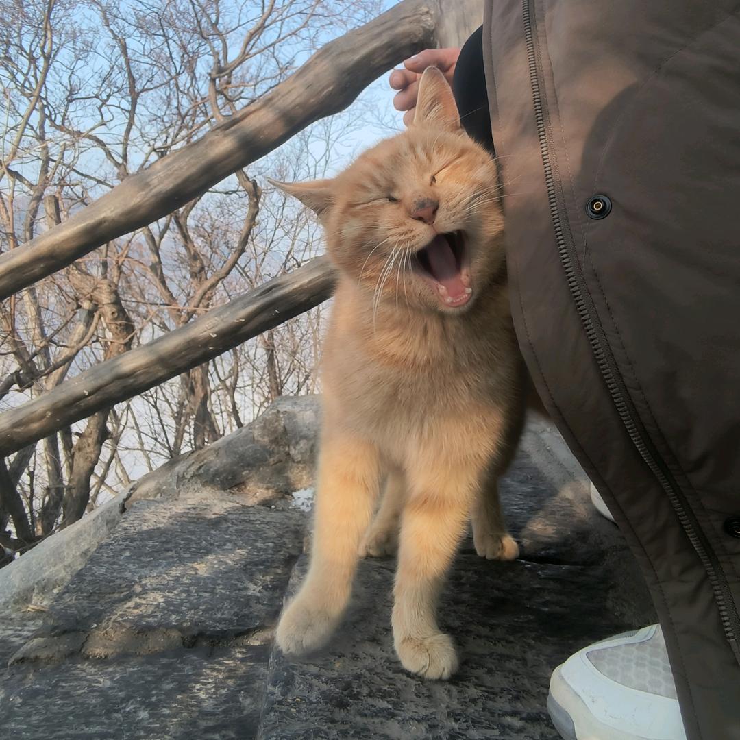 乔中洋