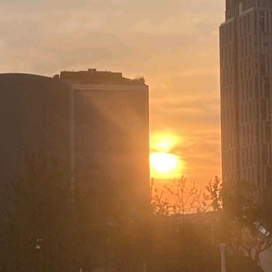 毕快通车（毕设加急版）