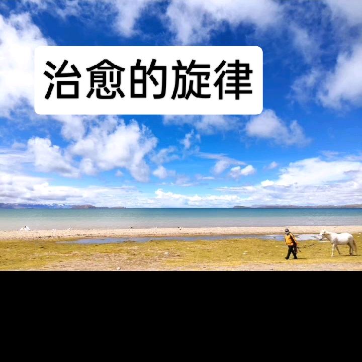 治愈的旋律