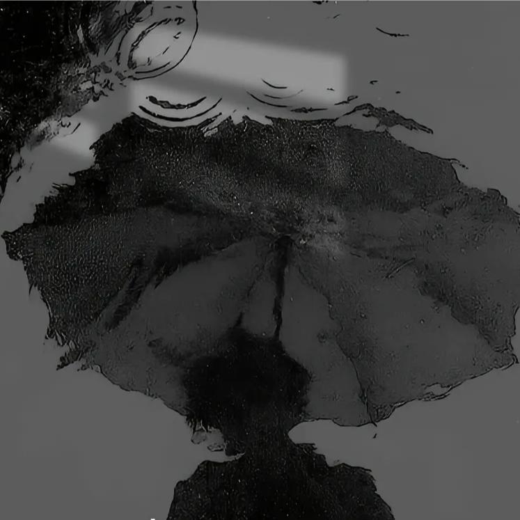 雨洁Чэньсинь