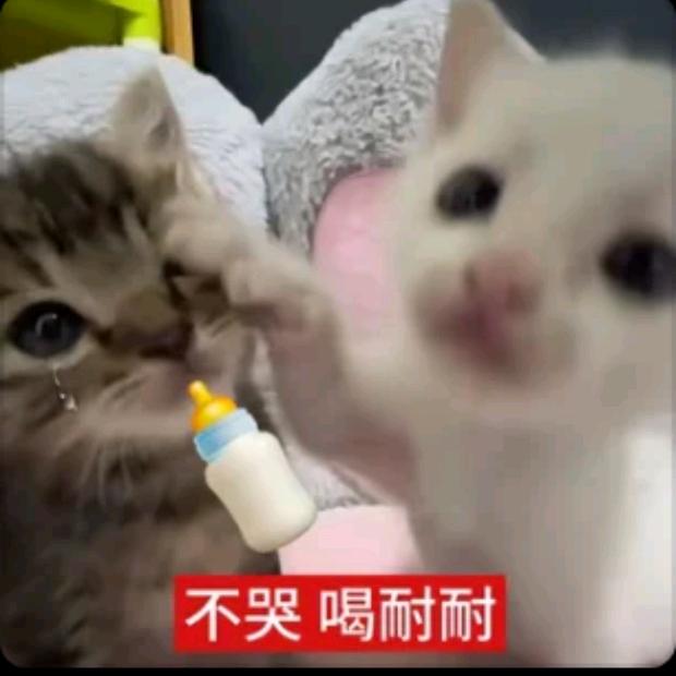 @活着干啥
