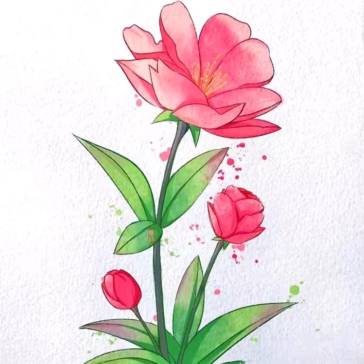 樱空释壁纸馆