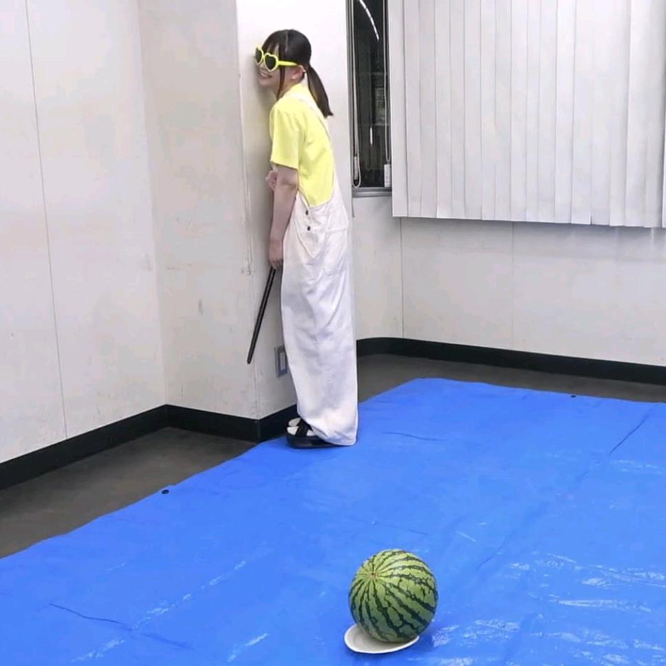 白河豚（沪鸡狗对邦与李子茜结月互动比心版