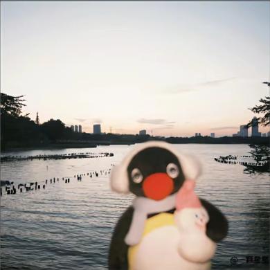 懒觉小狗🐾