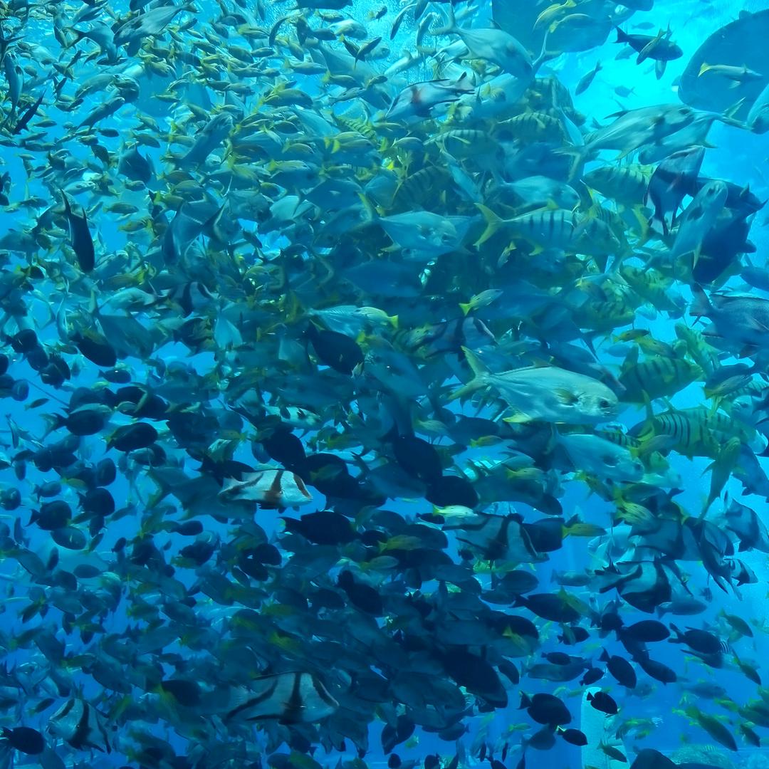 苏宁易购永昌店李元珍